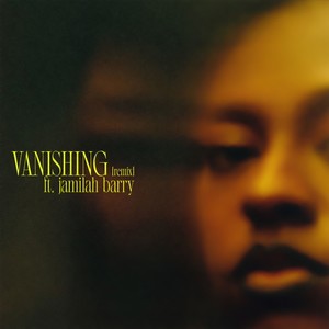 vanishing . [feat. Jamilah Barry] (Remix)