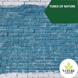 Tunes of Nature