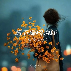 若不是因为你 (烟嗓女版)封面