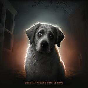 You Went Scared Into the Dark (Explicit)