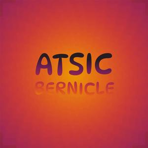 Atsic Bernicle