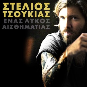 Enas Lykos Aisthimatias