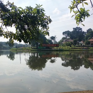 Ultimate Pop (Remix)