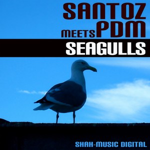 Seagulls (Santoz Original Mix)
