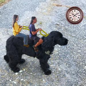 Le temps a galopé (feat. Tachy Bunker & Faustine Lewandowski)