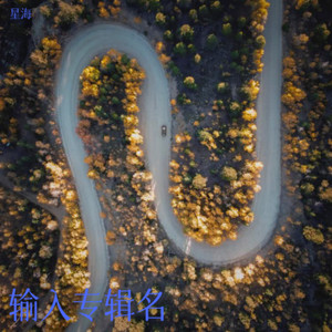 纯音乐 (伴奏)
