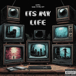 It's my life (prod. by provider|Explicit)