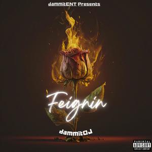 f i e g n i n (Explicit)