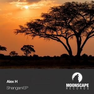 Shangani (Original Mix)