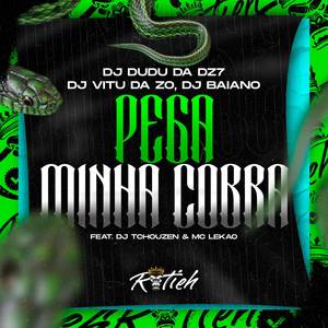 PEGA MINHA COBRA (Explicit)