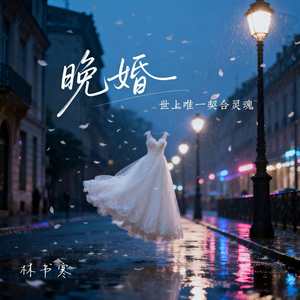 晚婚（世上唯一契合灵魂）