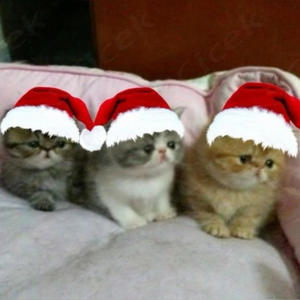 The Way It Felt (feat. extee, Sandysaddog & ilyvam)