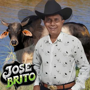 La Comparo Con un Lirio