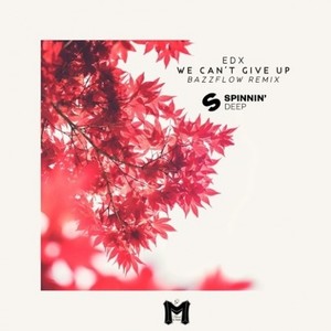 We Can't Give Up (Bazzflow Remix)