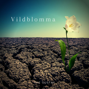 Vildblomma (Solo Piano)