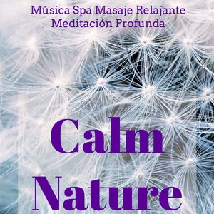 Calm Nature - Música Spa Masaje Relajante Meditación Profunda con Sonidos Naturales New Age Instrumentales