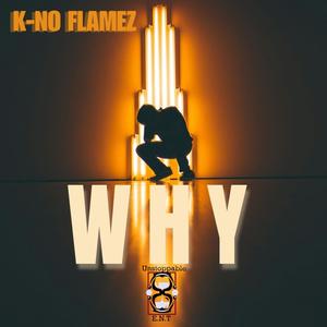Why (Explicit)