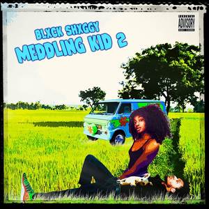 Meddling Kid 2 (Explicit)