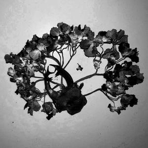 No lo vais a entender (Explicit)