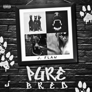 PURE BRED (Radio Edit)