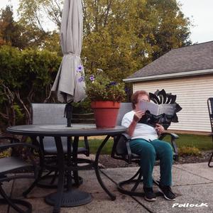 CC (feat. Mister Quasar) (Explicit)