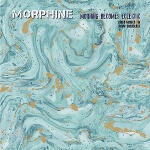 Morphine - Mary Won't You Call My Name? (Live)