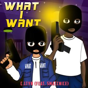 What I Want (feat. Smaccnice) [Explicit]