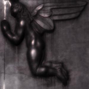 Circling the Chapel Tree