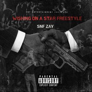 Wishing On A Star freestyle [2021] (Explicit)