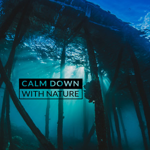 Calm Down with Nature: Music that Relieves Stress, Anxiety and Tension. Relaxes and Restores Peace.