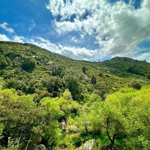 Tampoco quiero estar aqui (Explicit)