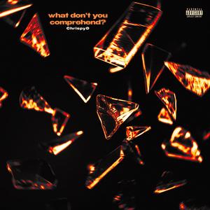 what don't you comprehend? (Explicit)