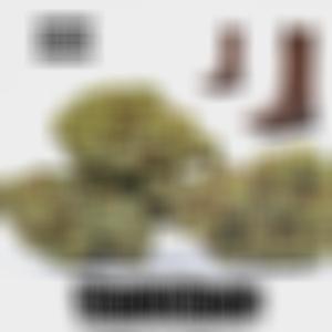 Where Da **** At (Explicit)