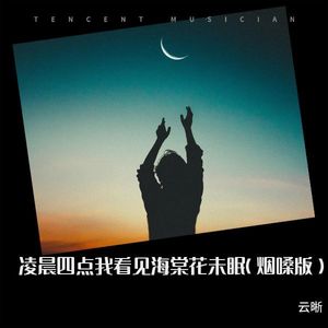 凌晨四点我看见海棠花未眠 (烟嗓版)