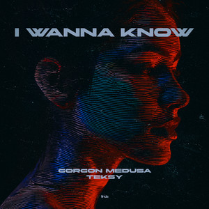 I Wanna Know