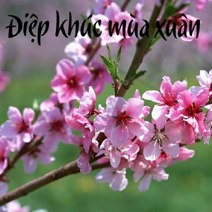 Đoản Ca Xuân(feat. Cao Duy)