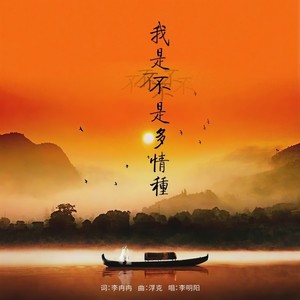 我是不是多情种