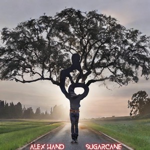 Sugarcane (Explicit)