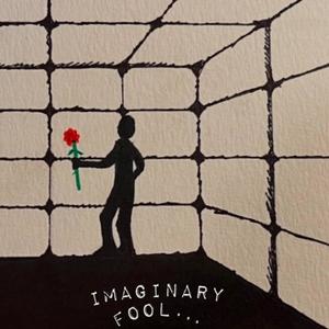 Imaginary Fool