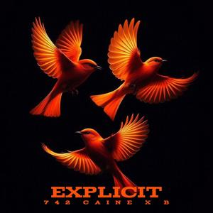 Explicit (feat. B)