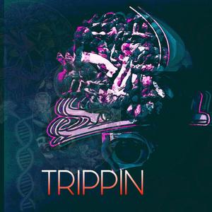 TRIPPIN ON SHROOMS (Explicit)