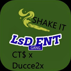 Shake It (feat. Ducce2x) [Explicit]