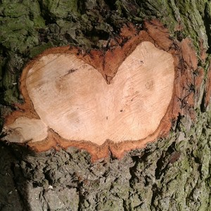 I'm so in love with you