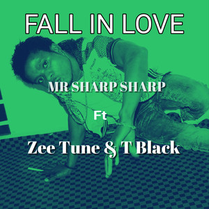 Fall in Love (Explicit)