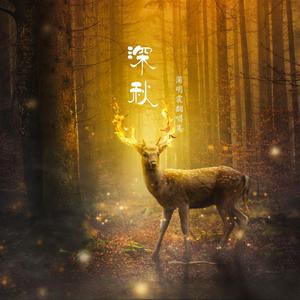 不将就-蒲明震