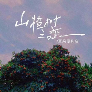 山楂树之恋（温柔男版）