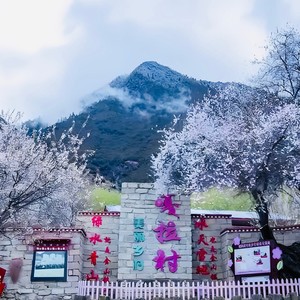 桃花谣嘎拉春晓