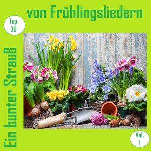 Top 30: Ein bunter Strauß von Frühlingsliedern, Vol. 1