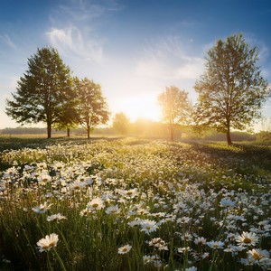 Gentle Energy In Every Moment