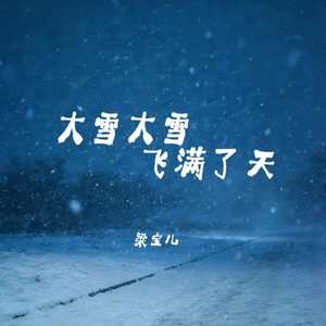 大雪大雪飞满了天封面